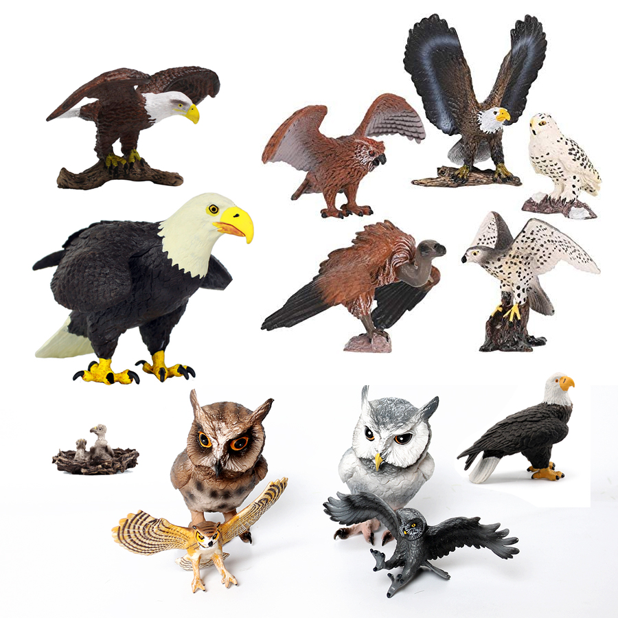 Kids Education Shows - Realistic Plastic Birds of Prey Figurines