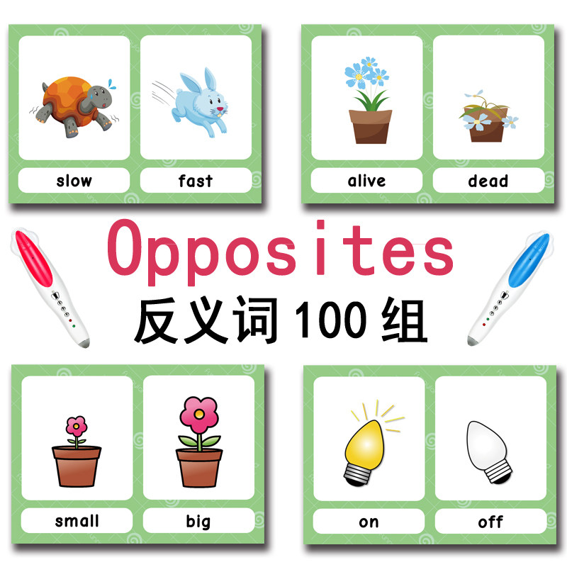 The 100 Groups Opposites Flash - Kids Education Gift recension och pris