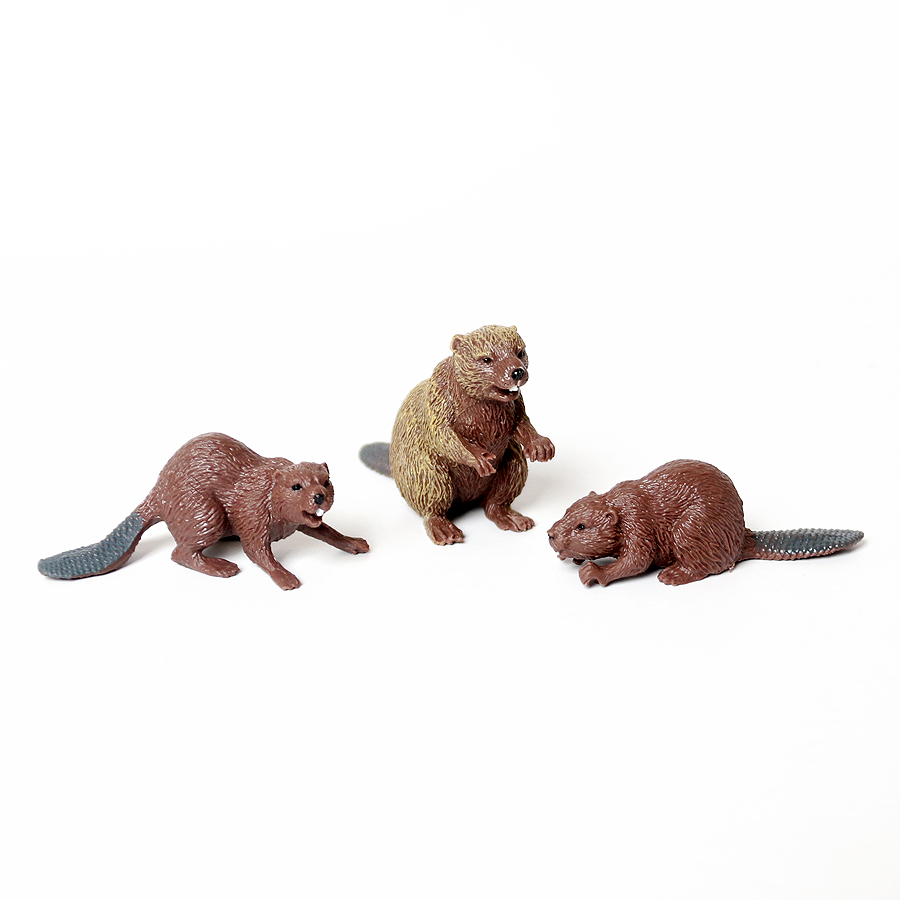 Realistic Woodland Creatures F - Kids Education Shows recension och pris