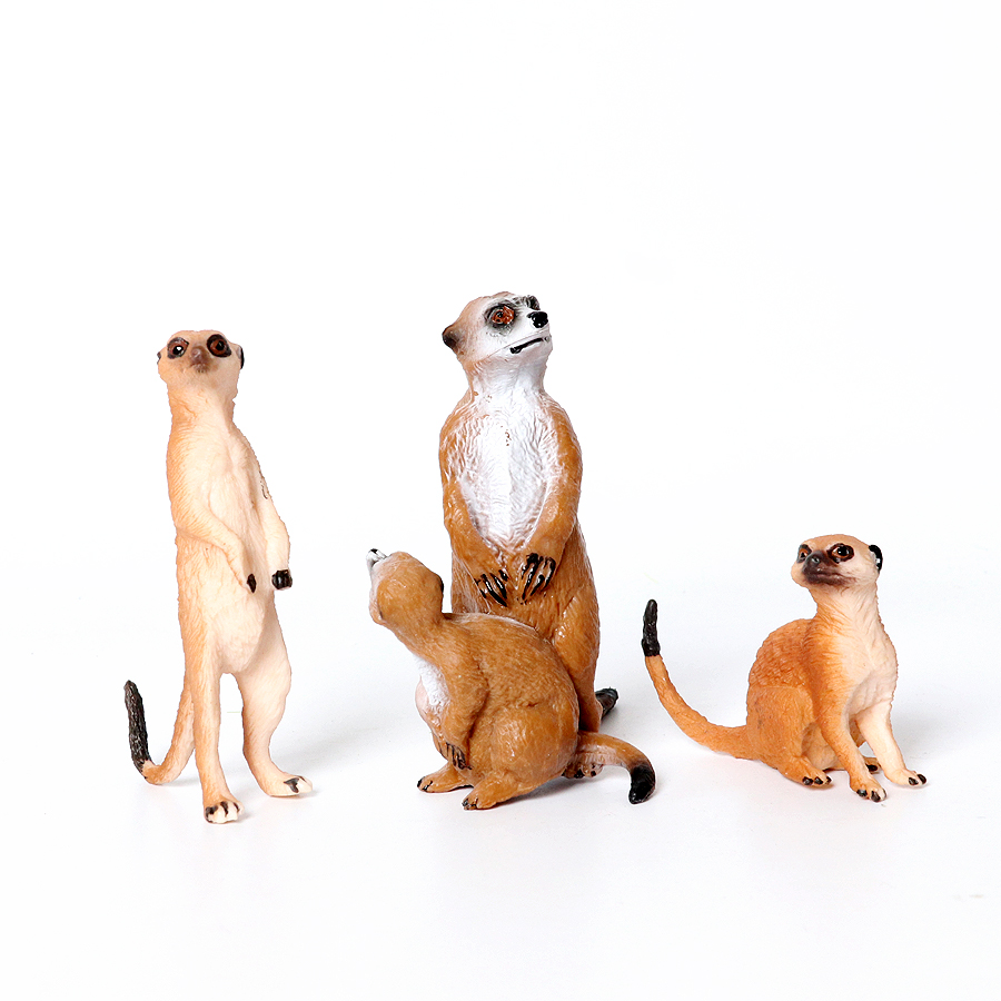 Realistic Woodland Creatures F - Kids Education Shows recension och pris