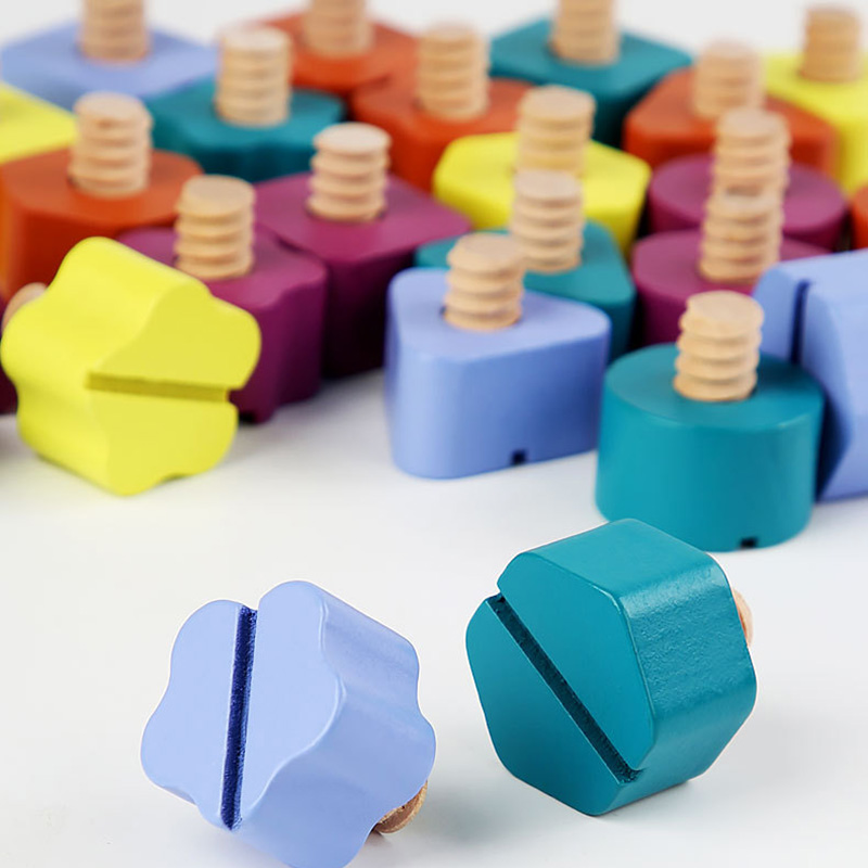Children Wooden Screw Nut Disa - Montessori Shelf Toy recension och pris