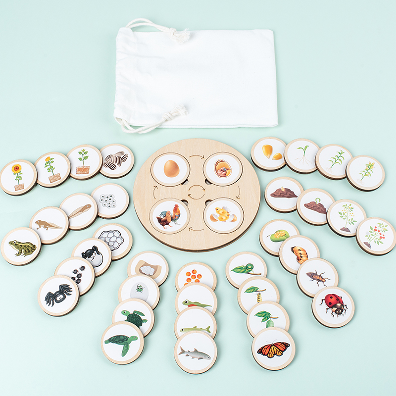 Life Cycle Board Montessori Ki - Montessori Shelf Toy recension och pris