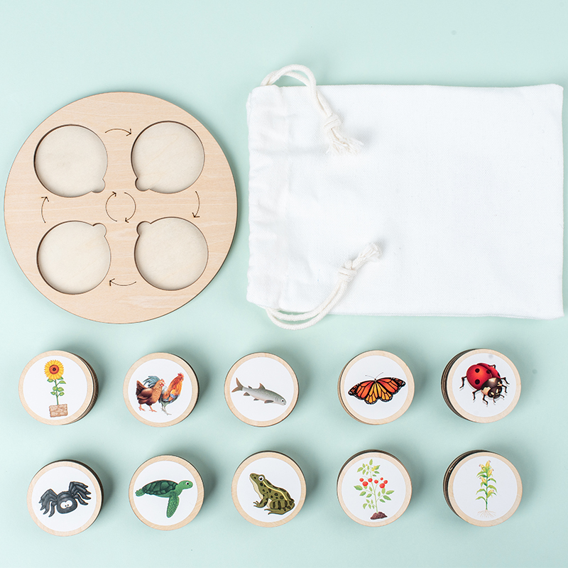 Life Cycle Board Montessori Ki - Montessori Shelf Toy recension och pris