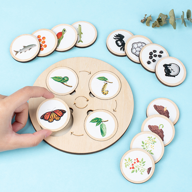 Life Cycle Board Montessori Ki - Montessori Shelf Toy recension och pris